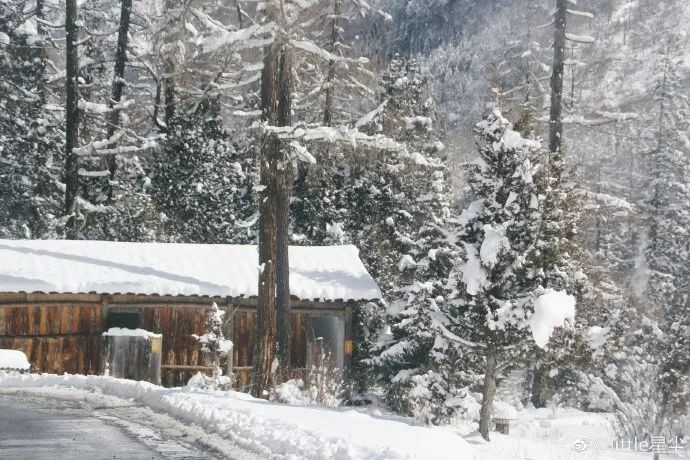 國內玩雪地方推薦，盡享雪域魅力之旅，雪域魅力之旅，國內最佳玩雪地點推薦