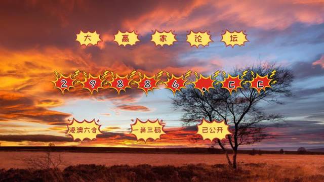 探索精準(zhǔn)跑狗圖，神秘的77777與88888的魅力，揭秘精準(zhǔn)跑狗圖，神秘數(shù)字77777與88888的魅力探索