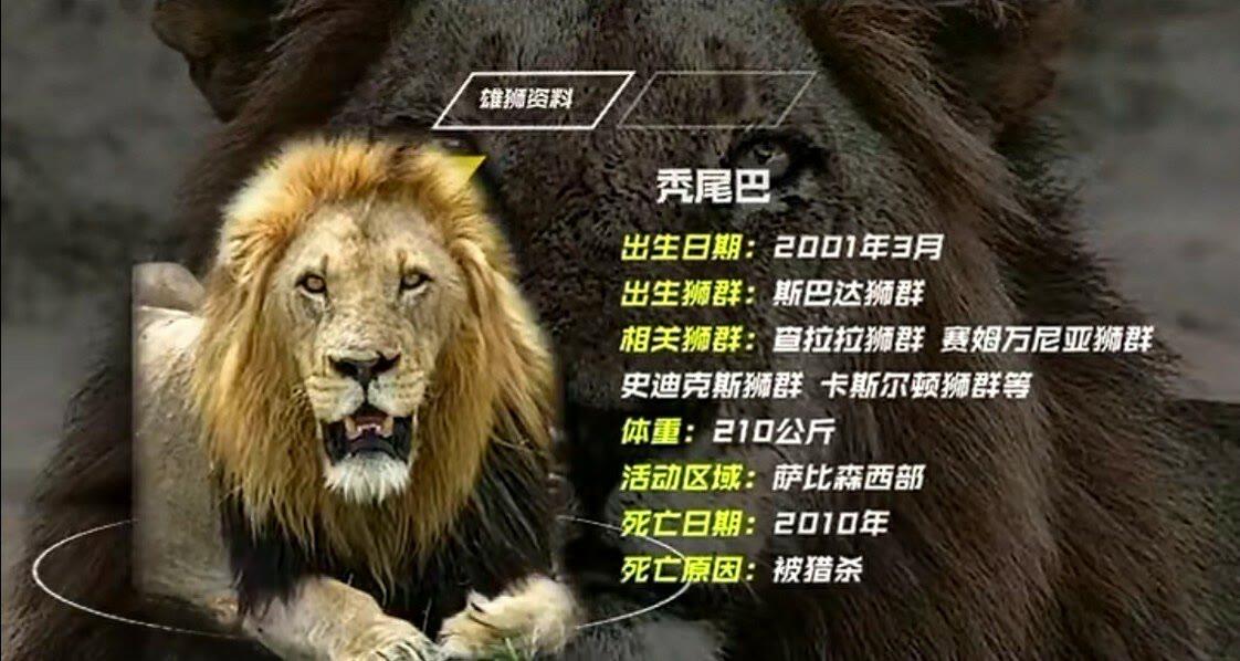 薩比森最新動(dòng)態(tài)，引領(lǐng)時(shí)代變革的先鋒力量，薩比森最新動(dòng)態(tài)，先鋒力量引領(lǐng)時(shí)代變革
