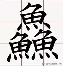 最新鮮的字，探索語言的前沿與魅力，探索語言前沿魅力，最新鮮字詞揭秘