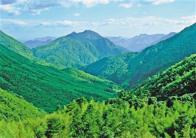 黃金山林最新探索與發(fā)現(xiàn)，自然與人文的交融之美，黃金山林探索新發(fā)現(xiàn)，自然與人文交融之美