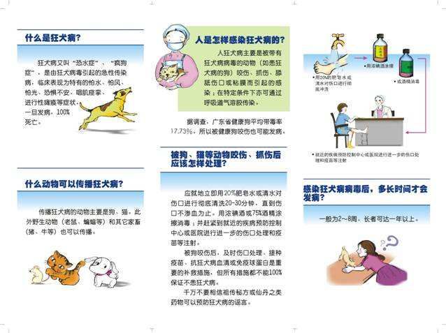 最新犬傷分級(jí)，理解、預(yù)防與應(yīng)對(duì)措施，最新犬傷分級(jí)詳解，理解、預(yù)防與應(yīng)對(duì)策略