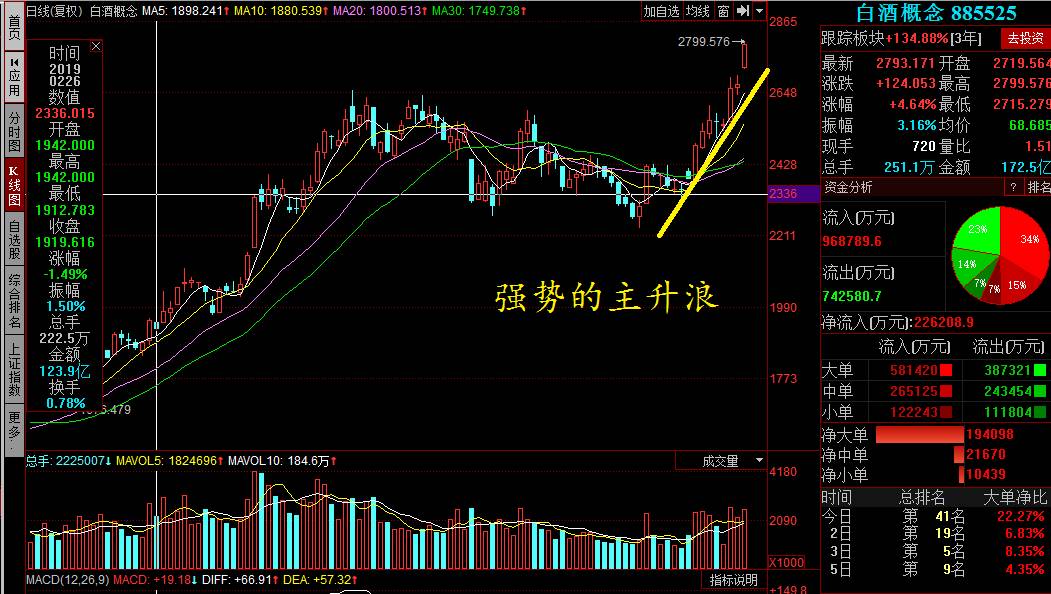 創(chuàng)歷史新高的股票，探尋背后的力量與機(jī)遇，創(chuàng)歷史新高的股票，背后的力量與機(jī)遇解析