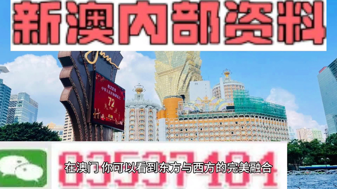 新澳新澳門正版資料，探索與解讀，新澳新澳門正版資料的探索與解讀