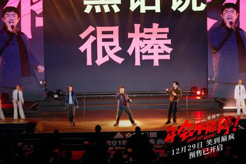 年會(huì)盛宴，星光璀璨，演員表全名單揭秘，年會(huì)盛宴，星光璀璨——演員全名單揭秘之夜