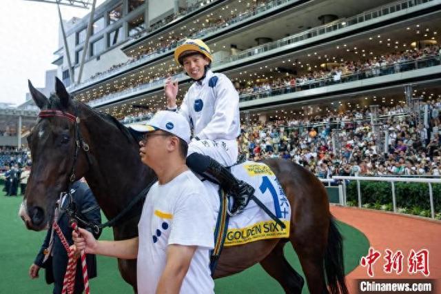 香港特馬王資料免費公開，深度解析與探索，香港特馬王資料深度解析與探索，免費公開揭秘