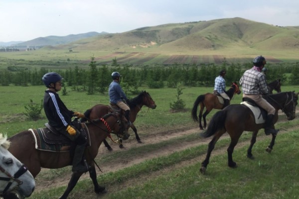 澳門特馬今晚開獎(jiǎng)，探索彩票背后的故事與期待，澳門特馬今晚開獎(jiǎng)，彩票背后的故事與期待揭秘