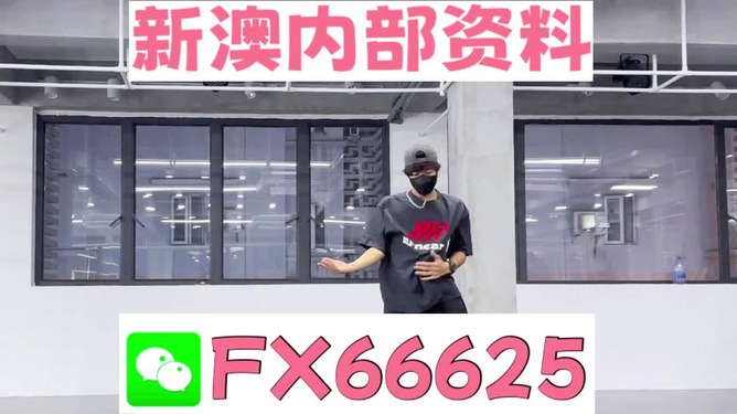 澳門管家婆100中，探索與解析，澳門管家婆100，深度探索與解析