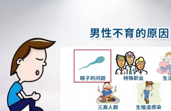 男性不育可以治愈嗎，解析原因與可能性，男性不育的治愈可能性及原因解析