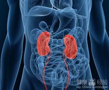 腎虛的表現(xiàn)癥狀及治療方法探討，腎虛癥狀表現(xiàn)與治療方法探討