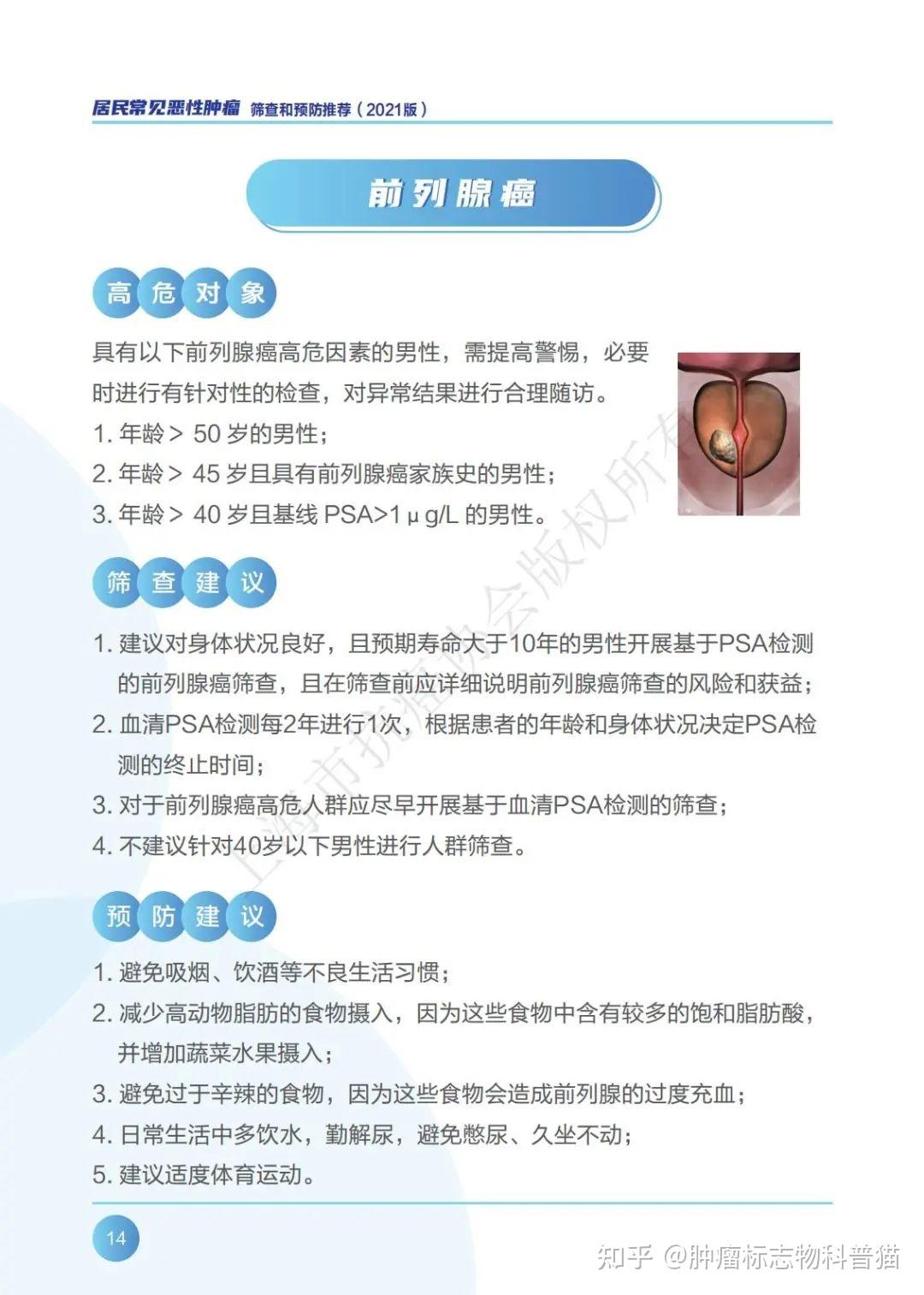 流星追影 第19頁