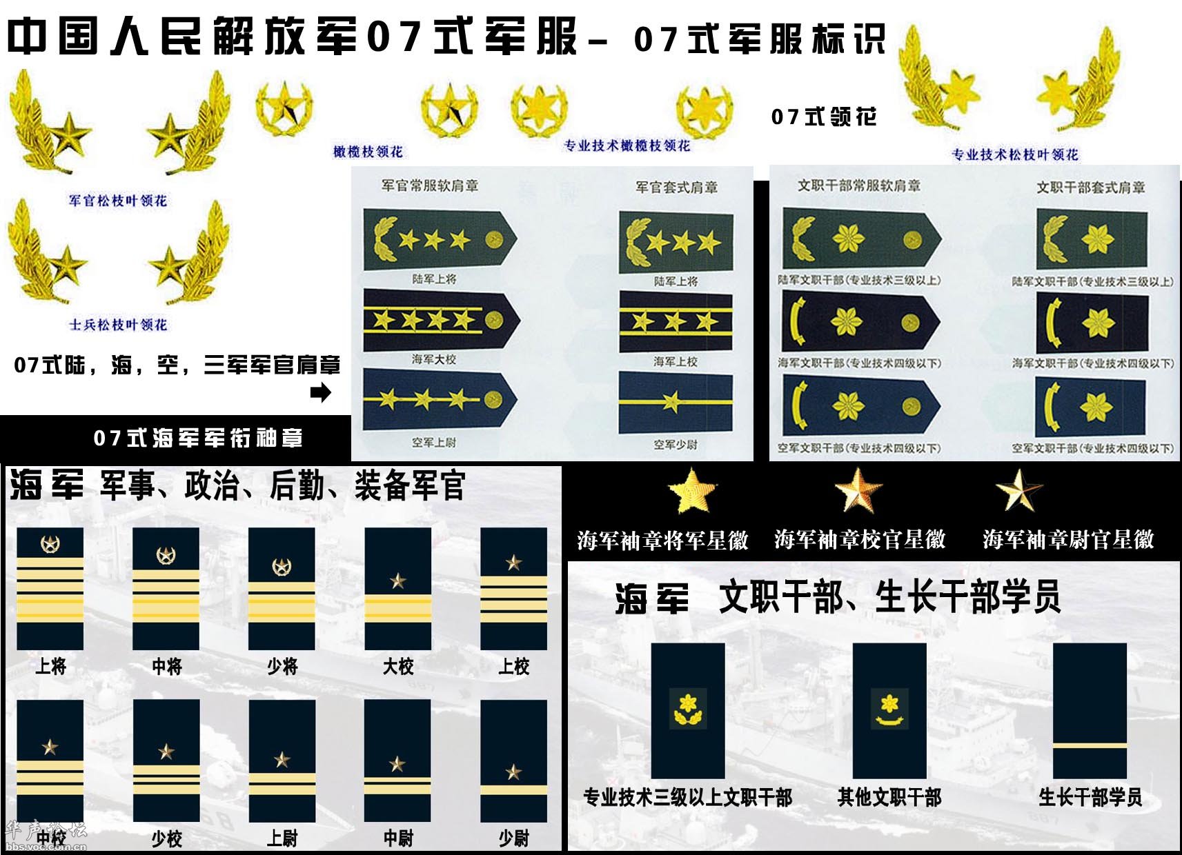 中國人民解放軍軍銜制度，歷史沿革與現(xiàn)狀，中國人民解放軍軍銜制度，歷史沿革與現(xiàn)狀概覽