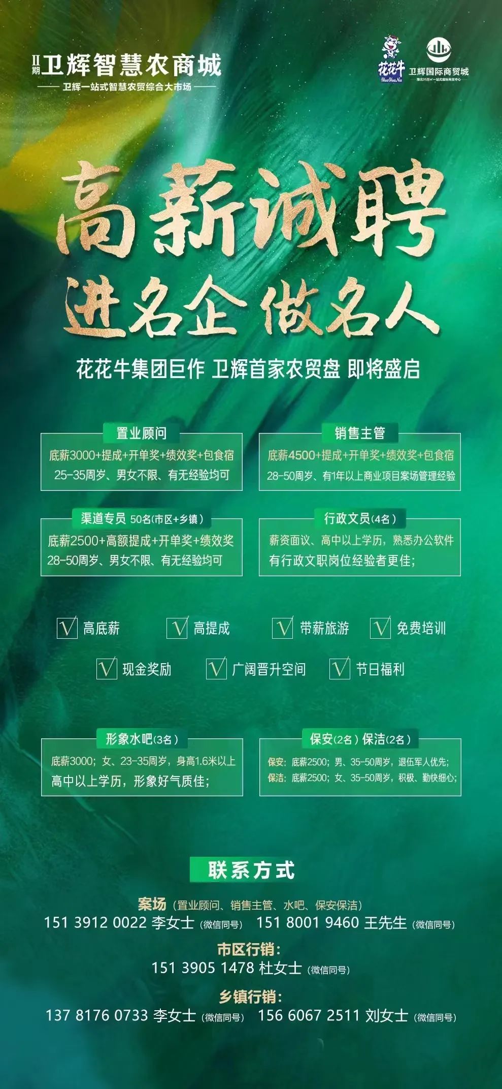 登封市招聘網(wǎng)最新招聘動態(tài)深度解析，登封市招聘網(wǎng)最新招聘動態(tài)深度解析及解讀
