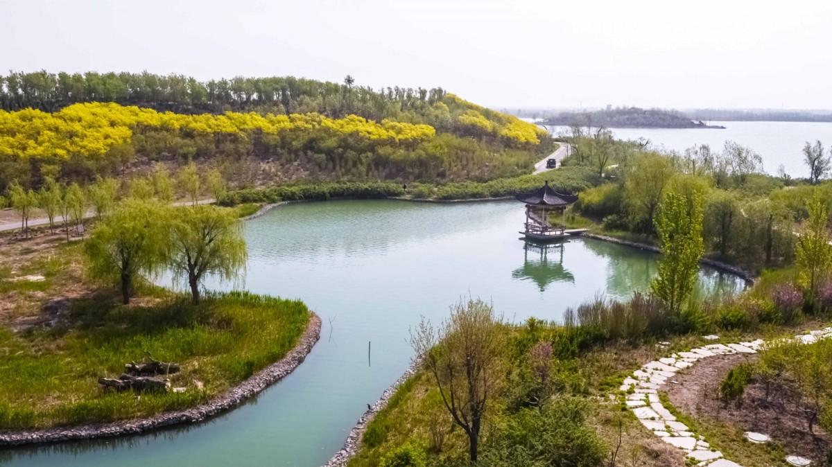 海灣戰(zhàn)爭(zhēng)卷入人口數(shù)量分析，海灣戰(zhàn)爭(zhēng)卷入人口數(shù)量深度解析