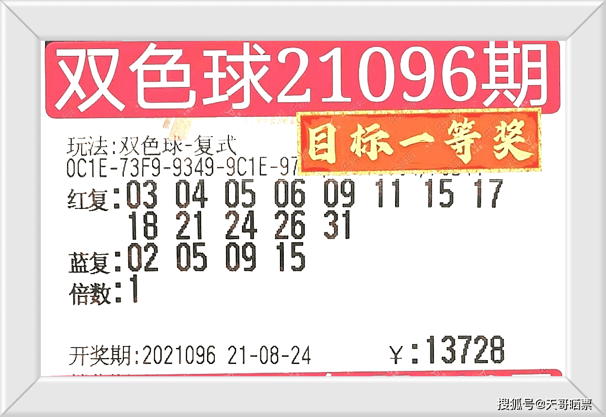 新澳門彩開獎(jiǎng)結(jié)果，探索與期待，新澳門彩開獎(jiǎng)結(jié)果揭曉，期待與探索的旅程