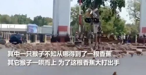 上海在XXXX年的新挑戰(zhàn)，疫情再次爆發(fā)的可能性分析，上海面臨的新挑戰(zhàn)，疫情再次爆發(fā)的可能性分析（XXXX年）