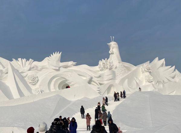 冰雪大世界的門票價(jià)格，探索不同門票種類與價(jià)格，冰雪大世界的門票詳解，不同種類與價(jià)格探索