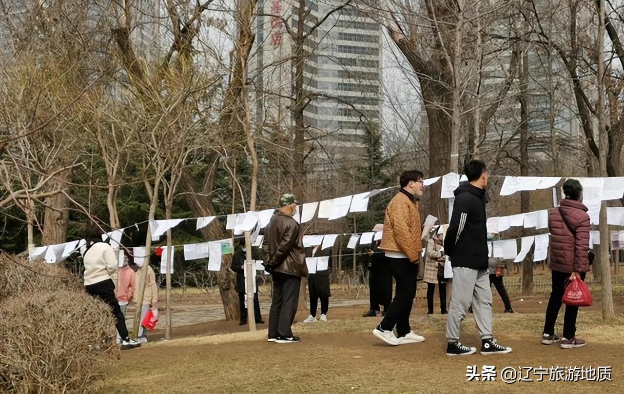征婚簡介，尋找我的命中注定之人，尋找命中注定之人，征婚簡介啟事