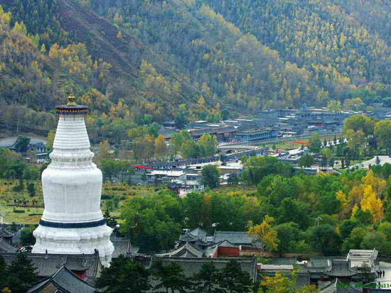 五臺山景區(qū)，歷史與自然共融的佛教圣地，五臺山景區(qū)，歷史與自然共融的佛教圣地之旅