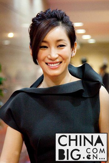 秦海璐個(gè)人資料簡介，演藝界的璀璨明星，秦海璐，演藝界的璀璨明星，個(gè)人資料大揭秘