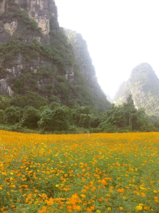 遇龍河漂流，一次難忘的水上冒險之旅，遇龍河漂流，難忘的水上冒險之旅體驗