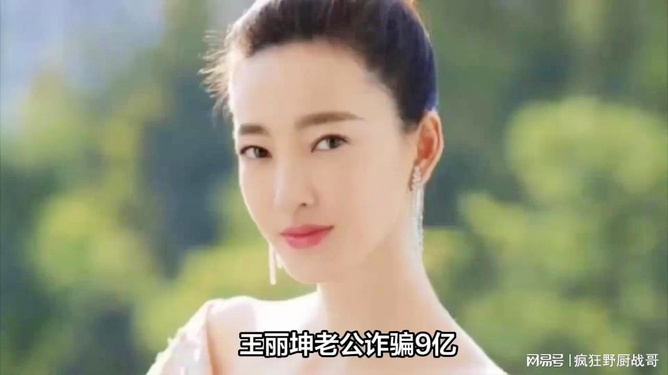 王麗坤老公的簡歷，揭秘神秘人物背后的故事，王麗坤老公背景大揭秘，探尋神秘人物背后的故事
