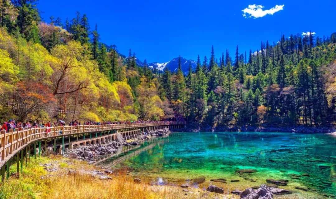 九寨溝風(fēng)景名勝區(qū)，自然之韻，人間仙境，九寨溝風(fēng)景名勝區(qū)，自然韻味的人間仙境