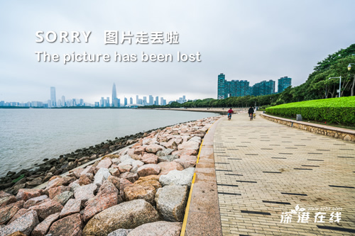 我的前半生第二部在線觀看，一部展現(xiàn)人生波折與成長的電視劇，我的前半生第二部在線觀看，人生波折與成長之旅