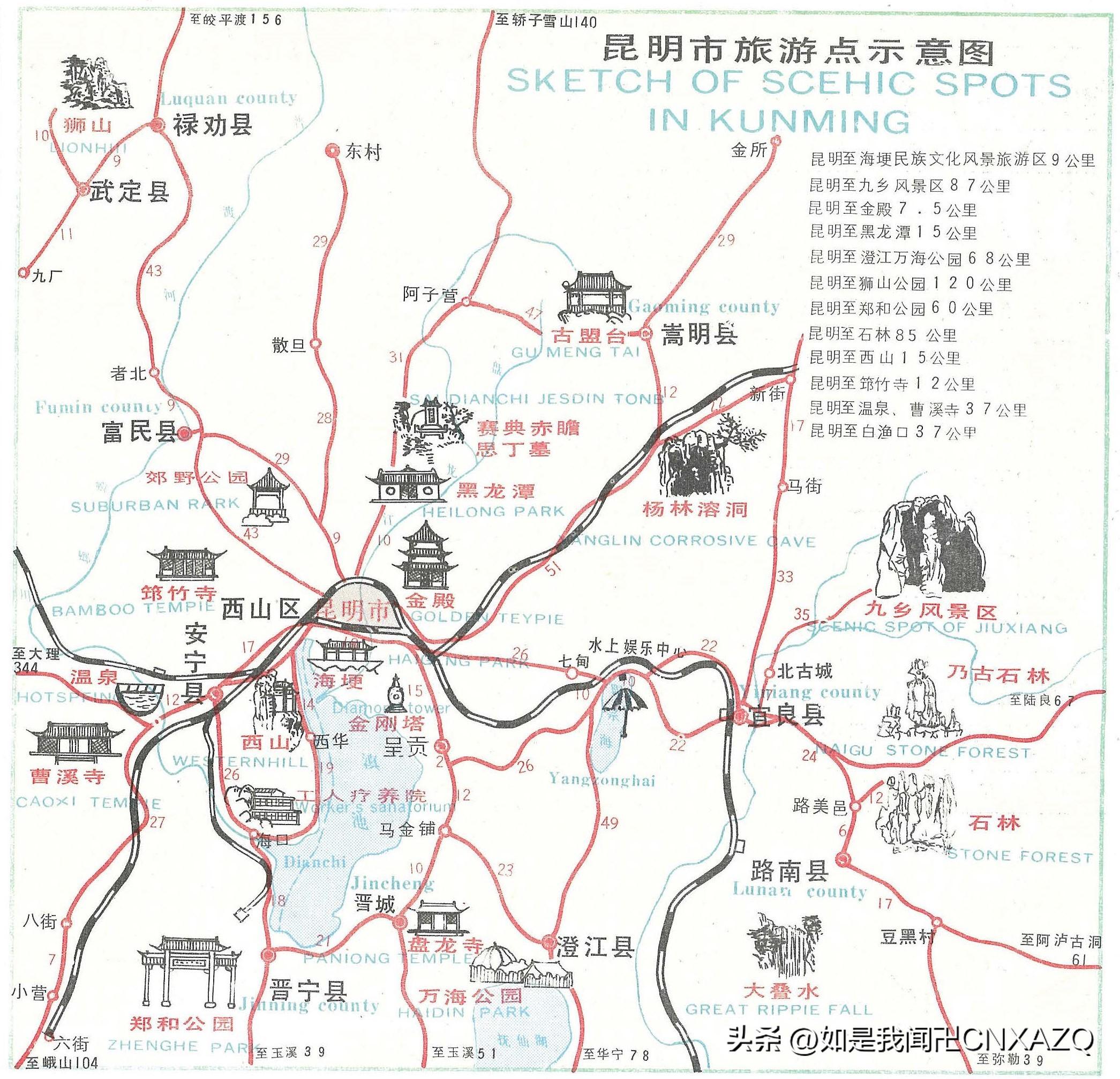 夜色中的貓 第19頁