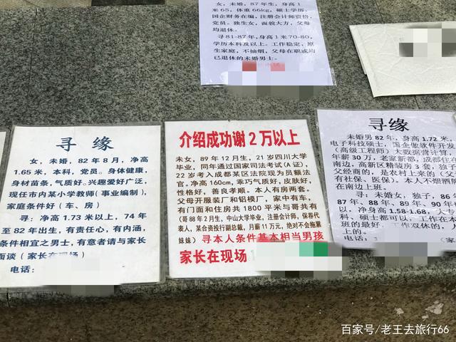 廣州百姓網(wǎng)征婚啟事圖，城市婚戀新風尚，廣州百姓網(wǎng)征婚啟事圖，城市婚戀新風潮涌動