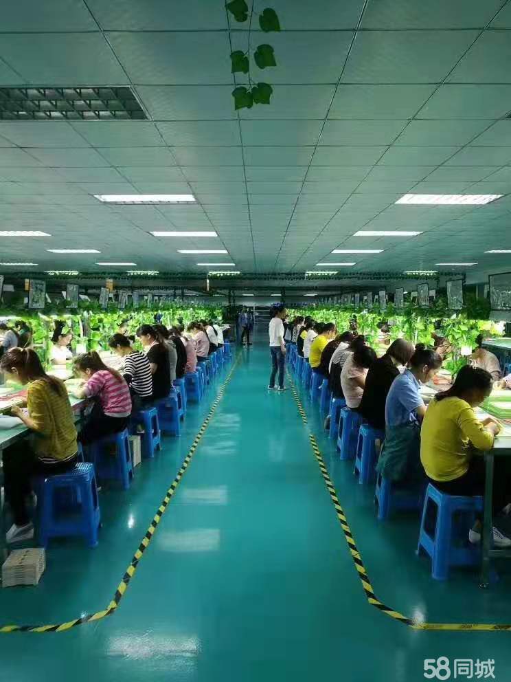 附近招工信息，女員工專屬的8小時白班工作機會，女員工專屬白班工作機會，附近招工信息8小時白班招聘啟事