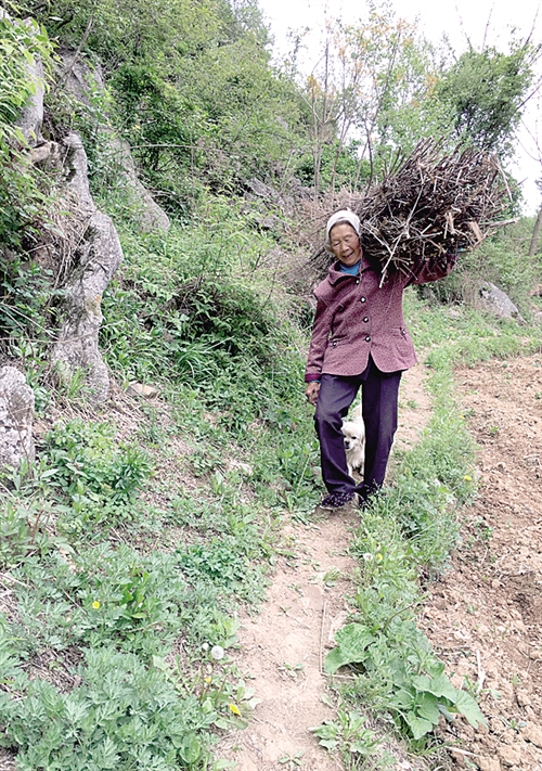 農(nóng)村中老年人征婚，尋找幸福晚年的新起點(diǎn)，農(nóng)村中老年征婚，晚年幸福的起點(diǎn)之路