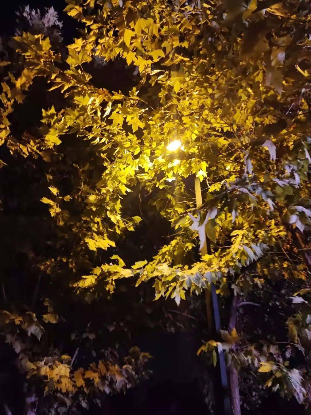 不再是朋友的夜晚第三集，疏離與重逢的交織，朋友的疏離與重逢，第三集劇情解析