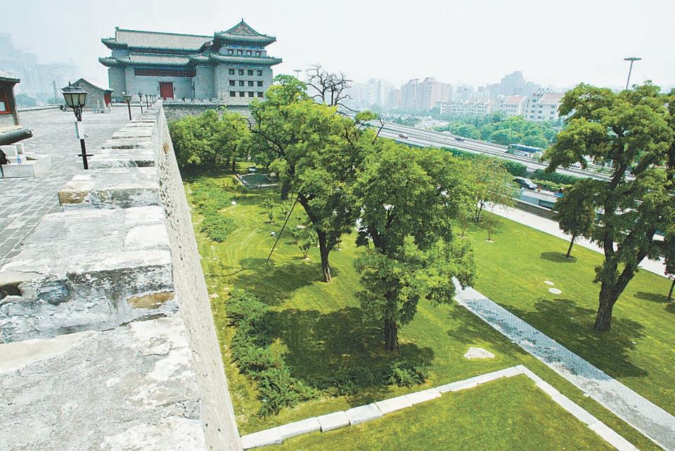 北京哪個公園最值得去，探尋城市綠肺的奧秘，探尋北京城市綠肺，哪個公園最值得一游？