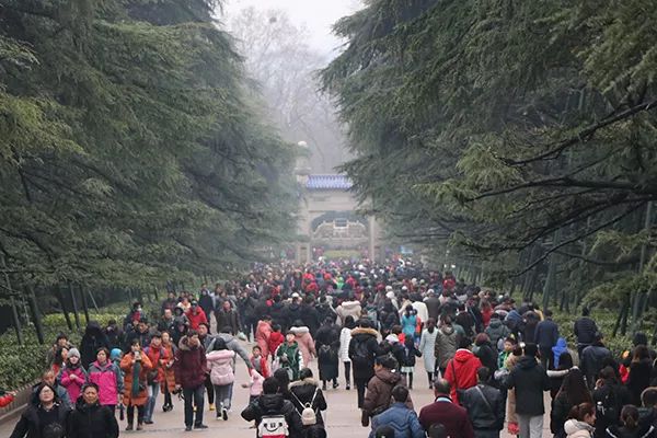 南京當(dāng)?shù)芈糜螆F(tuán)兩日游，深度探索古都文化，南京深度兩日游，古都文化探索之旅