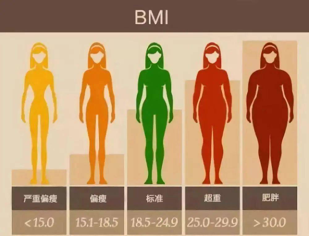 真實身高體重，揭示背后的故事，真實身高體重背后的故事揭秘