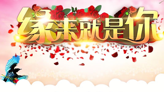婚介所相親，成功之路上的挑戰(zhàn)與反思，婚介所相親之路，挑戰(zhàn)與反思
