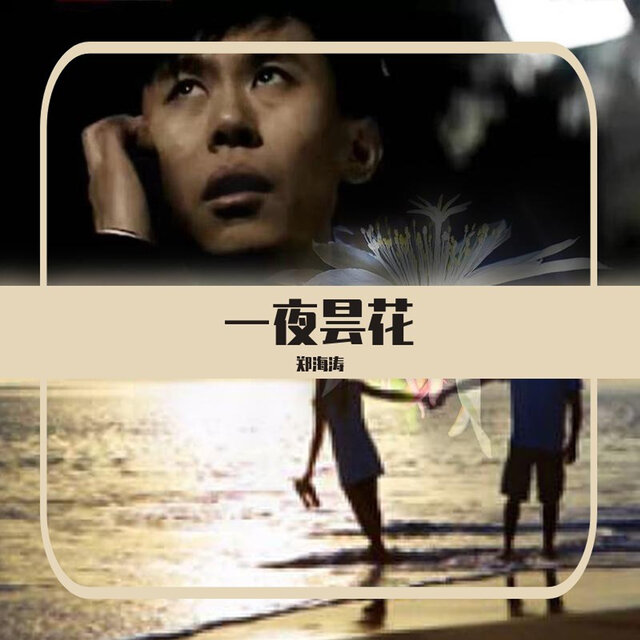 一夜之間的奇遇與領(lǐng)悟，奇遇夜，領(lǐng)悟人生真諦