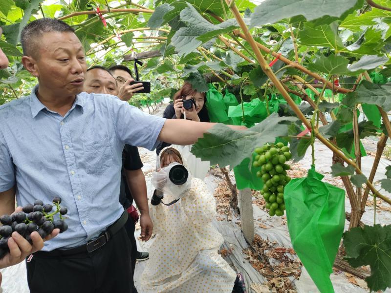 上海正規(guī)的相親網(wǎng)，連接真摯心靈的橋梁，上海正規(guī)相親網(wǎng)，真摯心靈的連接橋梁