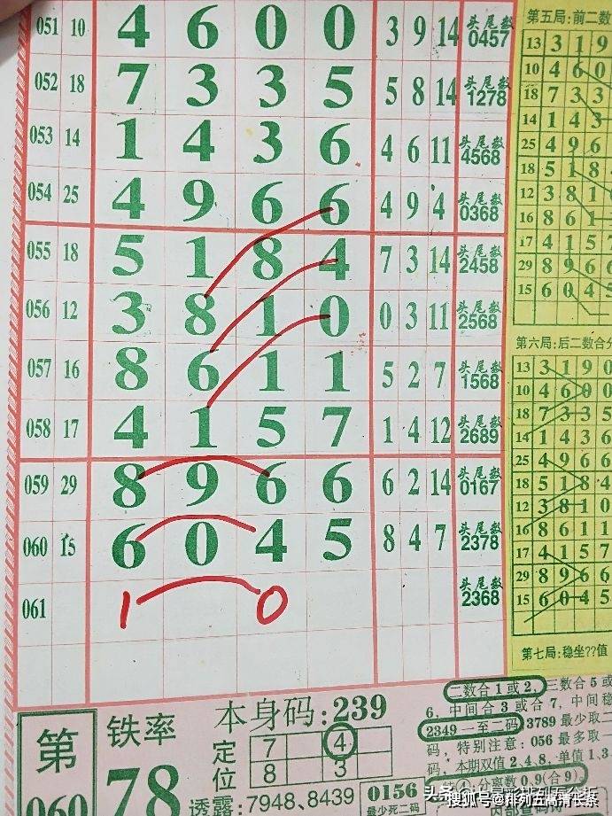 揭秘999842四肖八碼背后的秘密，揭秘，999842四肖八碼背后的神秘面紗