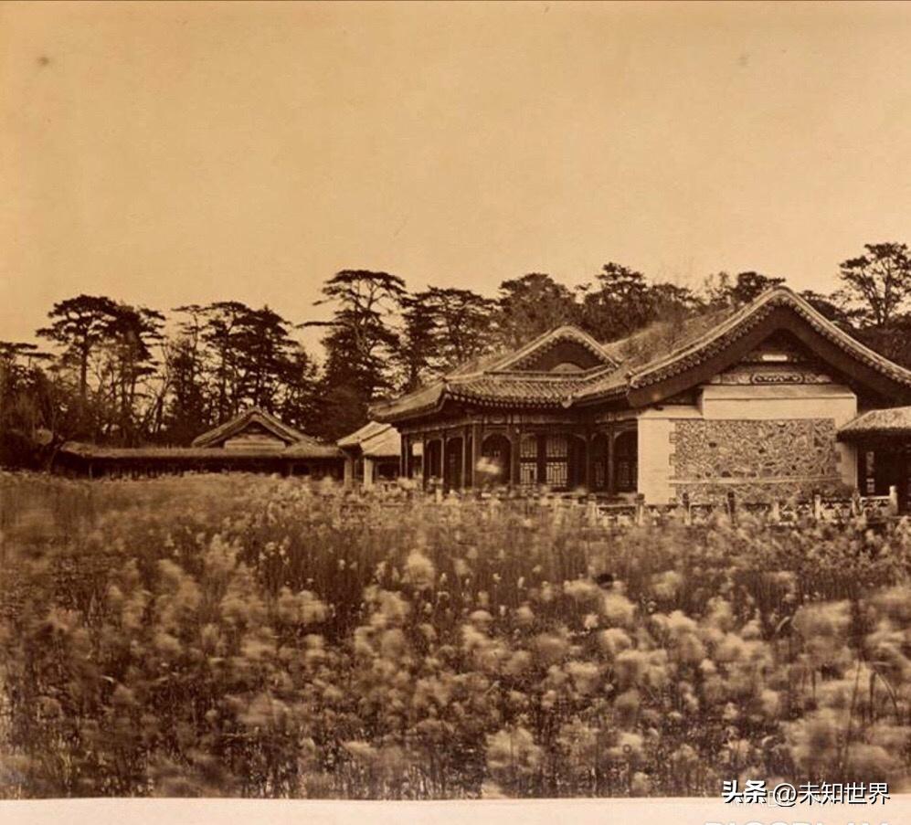 圓明園唯一幸存者——?dú)v史的見證與文化的傳承，圓明園唯一幸存者，歷史的見證與文化的傳承之路