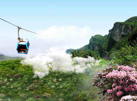金佛山風(fēng)景區(qū)旅游攻略，金佛山風(fēng)景區(qū)全面旅游攻略指南