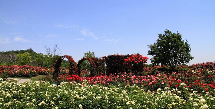 上海辰山植物園門票價(jià)格詳解，上海辰山植物園門票價(jià)格全解析