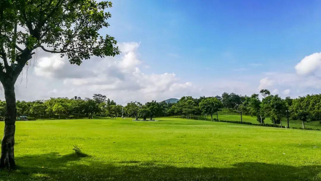 深圳免費(fèi)景點(diǎn)，探索城市之美，深圳免費(fèi)景點(diǎn)探秘，感受城市之美