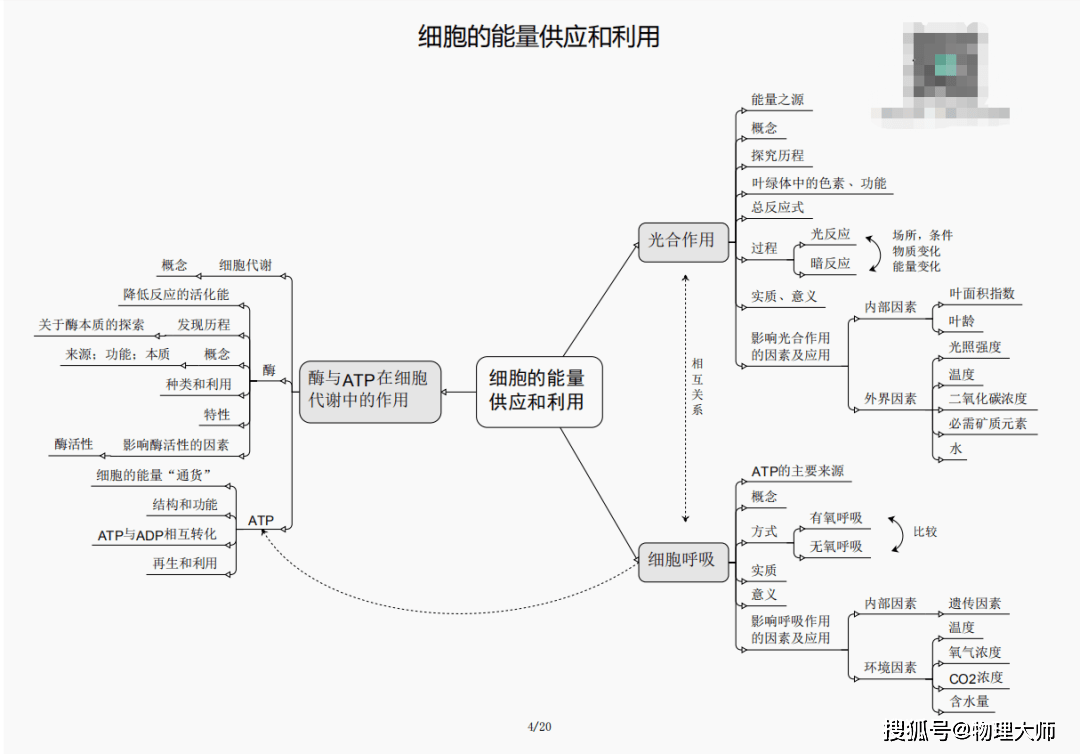 新澳今晚三中三必中一組的深度分析與預(yù)測(cè)，新澳今晚三中三必中一組深度預(yù)測(cè)與分析報(bào)告