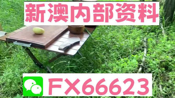 新澳一碼中的奧秘與探索，新澳一碼中的奧秘揭秘與深度探索