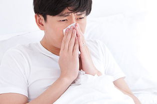 過敏性鼻炎偏方，傳統(tǒng)智慧與現(xiàn)代醫(yī)學的交融，過敏性鼻炎偏方，傳統(tǒng)智慧與現(xiàn)代醫(yī)學的交融探索