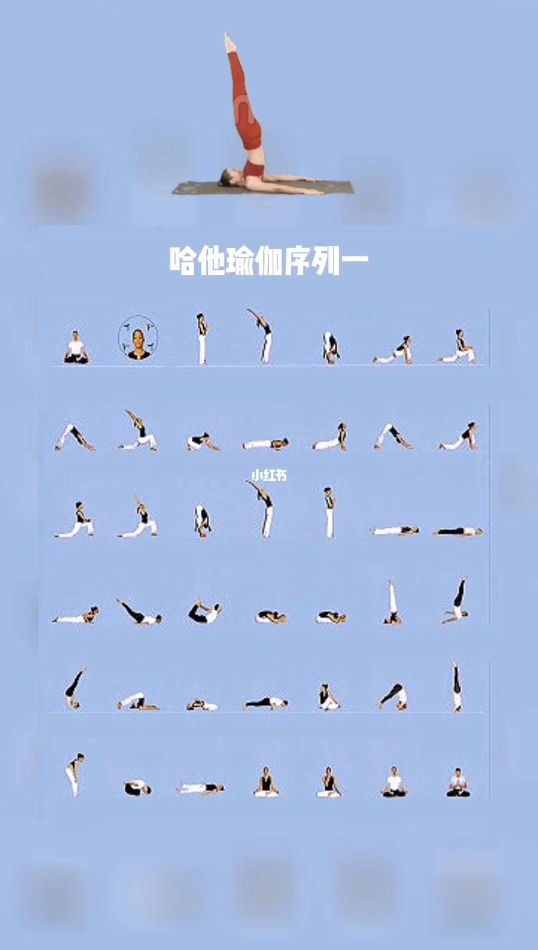 瑜伽的魅力，哈他瑜伽體式在60分鐘排課中的展現(xiàn)，瑜伽的魅力，哈他瑜伽體式在短暫課程中的展現(xiàn)風(fēng)采