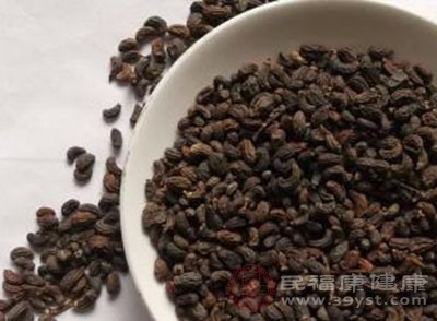 女貞子的作用與功效，揭示傳統(tǒng)中藥材的神奇魅力，女貞子的作用與功效，揭示傳統(tǒng)中藥材的奧秘與魅力