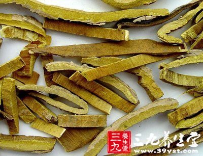 黃柏的作用與功效，揭示古老草本植物的醫(yī)療價值，黃柏的醫(yī)療價值，作用與功效詳解
